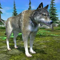 Скачать взлом Wolf Simulator - Animal Games  [МОД Все открыто] - стабильная версия apk на Андроид