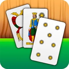 Взлом Scopa - Italian Card Game (Скопа)  [МОД Menu] - полная версия apk на Андроид