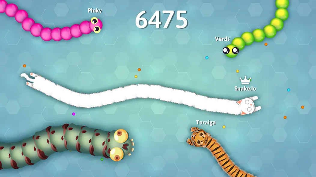 Snake.io - Fun Snake .io Games  [МОД Все открыто] Screenshot 5