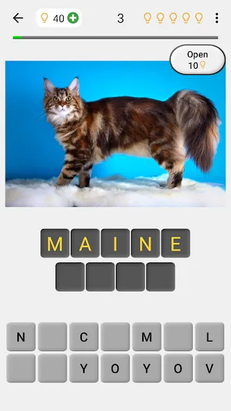 Cats Quiz Guess Popular Breeds  [МОД Бесконечные деньги] Screenshot 1