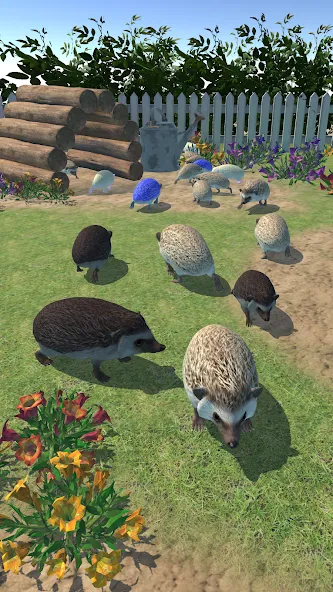 Hedgehog Friends (Хеджхог Френдс)  [МОД Много монет] Screenshot 3