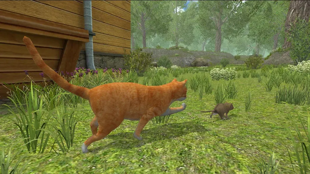 Mouse Simulator :  Forest Home  [МОД Unlimited Money] Screenshot 3