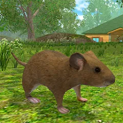 Взлом Mouse Simulator :  Forest Home  [МОД Unlimited Money] - стабильная версия apk на Андроид