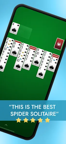 Spider Solitaire  [МОД Бесконечные деньги] Screenshot 1