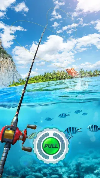 Fishing Rival 3D (Фишинг Ривал 3Д)  [МОД Много монет] Screenshot 1