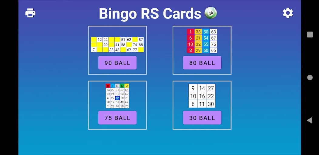 Bingo RS Cards (Бинго РС Карты)  [МОД Много монет] Screenshot 1