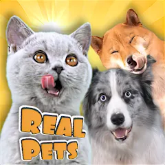 Взлом Adopt a pet : Corgi Games (Риал Петс бай Фруви)  [МОД Много монет] - стабильная версия apk на Андроид