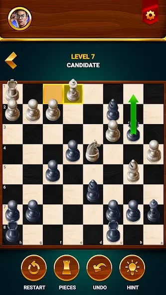 Chess - Offline Board Game  [МОД Много монет] Screenshot 5