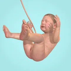 Скачать взломанную Idle 9 Months (Айдл 9 месяцев)  [МОД Много денег] - последняя версия apk на Андроид