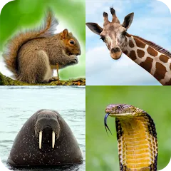 Скачать взлом Animal Quiz: Guess the Animal  [МОД Unlocked] - стабильная версия apk на Андроид