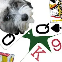 Скачать взломанную K9 Sheepshead (Schafkopf) (Шипсхед)  [МОД Много денег] - полная версия apk на Андроид
