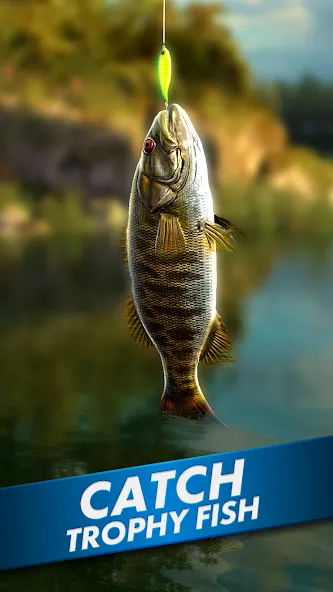 Ultimate Fishing! Fish Game  [МОД Все открыто] Screenshot 1