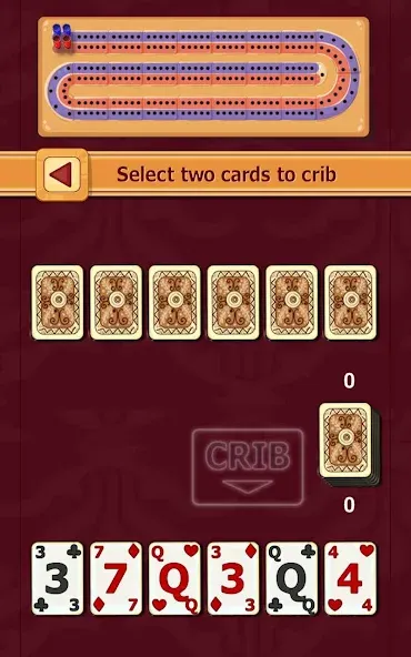 Cribbage (Криббидж)  [МОД Бесконечные деньги] Screenshot 4