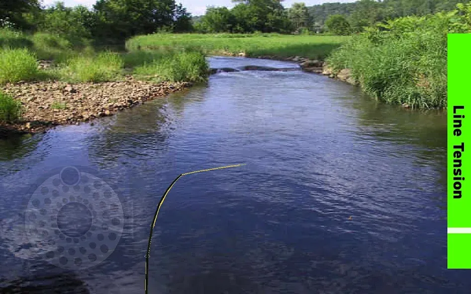 Fly Fishing Simulator (Флай Фишинг Симулятор)  [МОД Unlocked] Screenshot 4