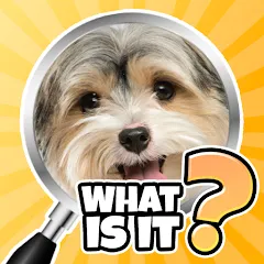 Взломанная What is it? Pics Trivia Quiz  [МОД Много денег] - последняя версия apk на Андроид