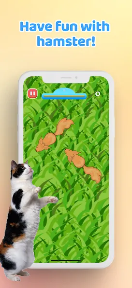 Games for Cat－Toy Mouse & Fish  [МОД Много монет] Screenshot 5