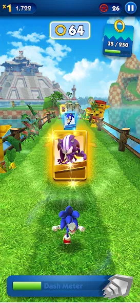 Sonic Dash - Endless Running (Соник Дэш)  [МОД Бесконечные деньги] Screenshot 4