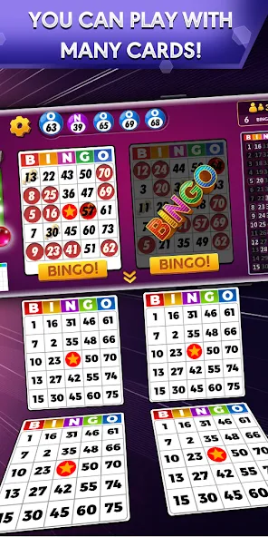 Bingo - Offline Bingo Game  [МОД Бесконечные деньги] Screenshot 1