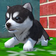 Скачать взлом Cute Pocket Puppy 3D (Сьют Покет Паппи 3Д)  [МОД Меню] - стабильная версия apk на Андроид