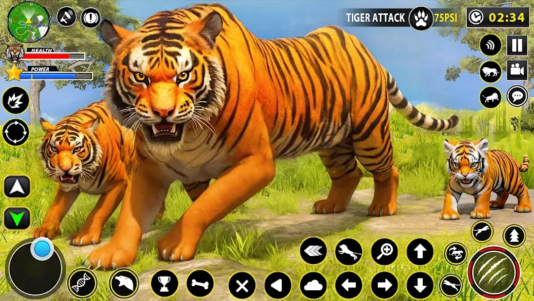 Tiger Simulator Lion games 3D (Тигровый Симулятор Игр Льва 3D)  [МОД Бесконечные деньги] Screenshot 1