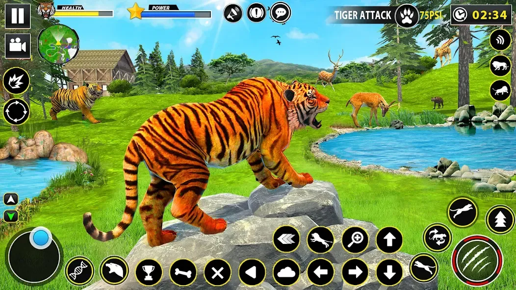 Tiger Simulator Lion games 3D (Тигровый Симулятор Игр Льва 3D)  [МОД Бесконечные деньги] Screenshot 4