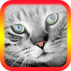 Скачать взлом Translator for Cats Prank  [МОД Mega Pack] - стабильная версия apk на Андроид