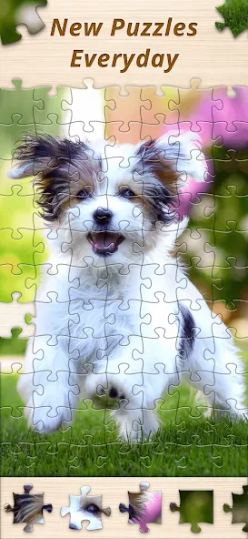 Jigsaw Premium Puzzles HD (Джигсоу)  [МОД Много денег] Screenshot 5