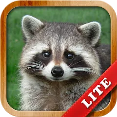 Скачать взлом Animals for Kids  [МОД Unlimited Money] - стабильная версия apk на Андроид