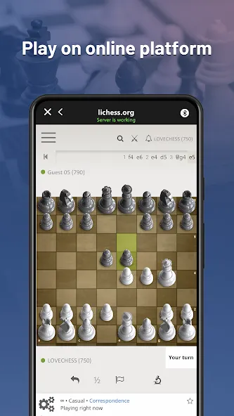 Chessnut (Честнат)  [МОД Много денег] Screenshot 2